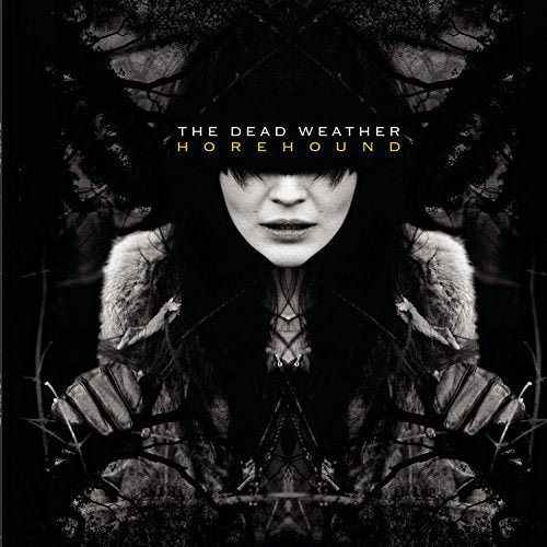 Black and white cover art featuring a woman with dark hair obscuring her eyes.