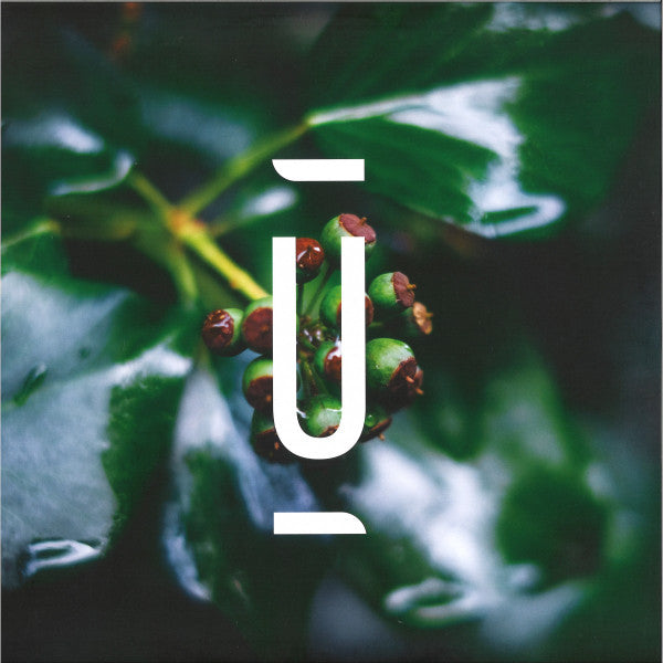 Green foliage with a white "U" shape and horizontal lines overlay.