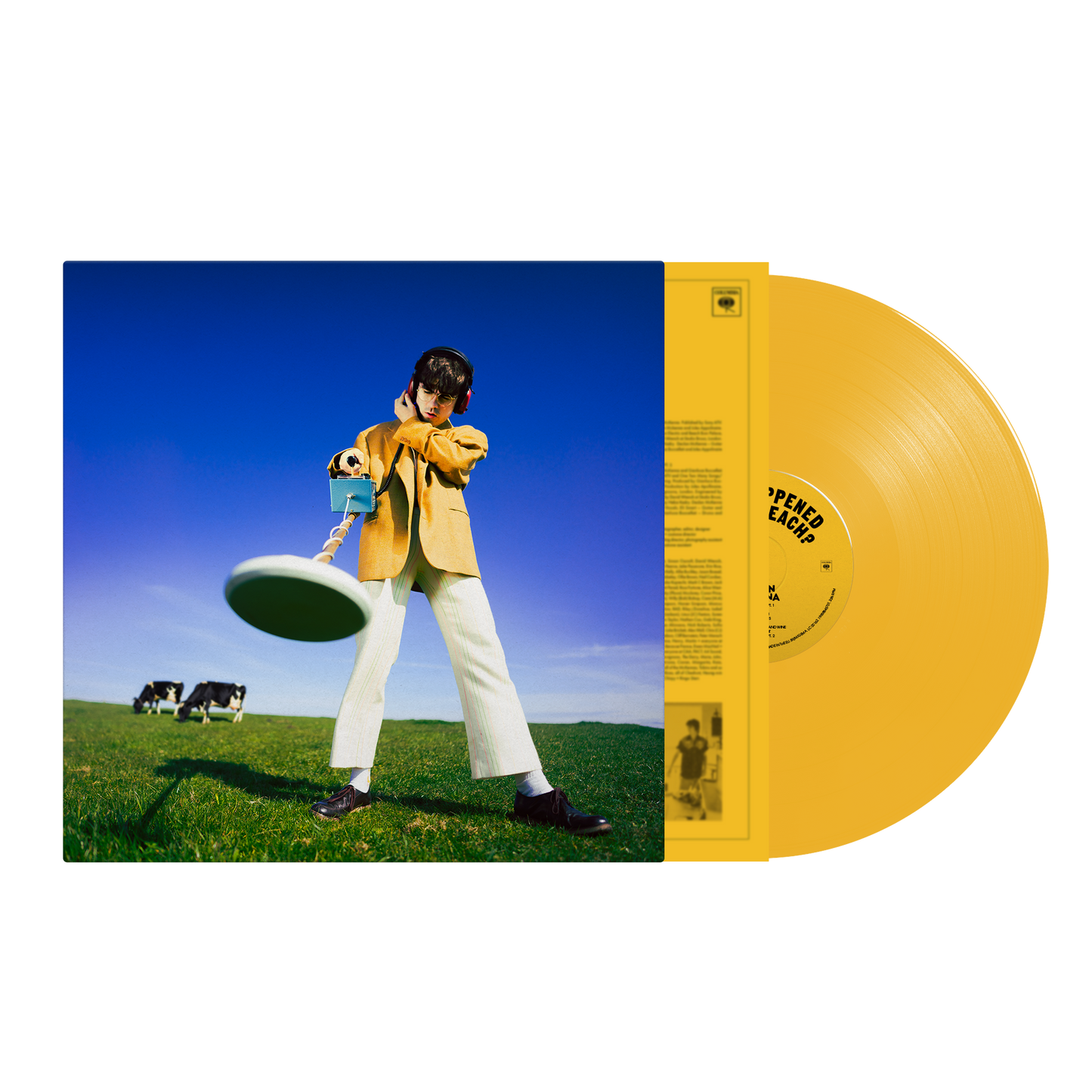 Declan McKenna album cover with a person in yellow, vinyl record beside.
