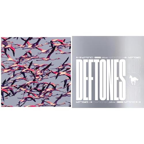 Two album covers featuring pink flamingos on the left and white text on silver.
