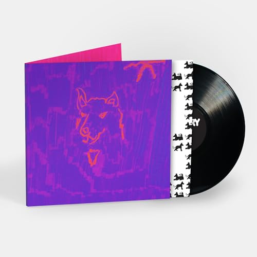 Dehd Poetry vinyl record with purple cover art and a black vinyl disc.