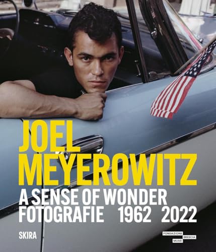 Book cover featuring a young man in a car with an American flag.