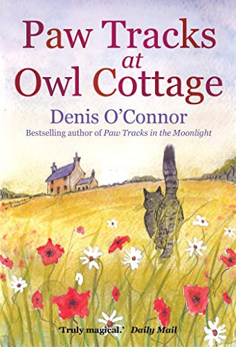 Book cover: cottage, black cat, wildflowers, and red title text.