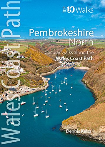 Book cover depicting a coastal harbor scene in Pembrokeshire, Wales.