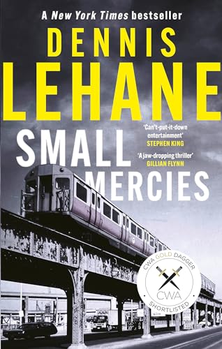 Book cover for "Small Mercies" featuring a train on elevated tracks.