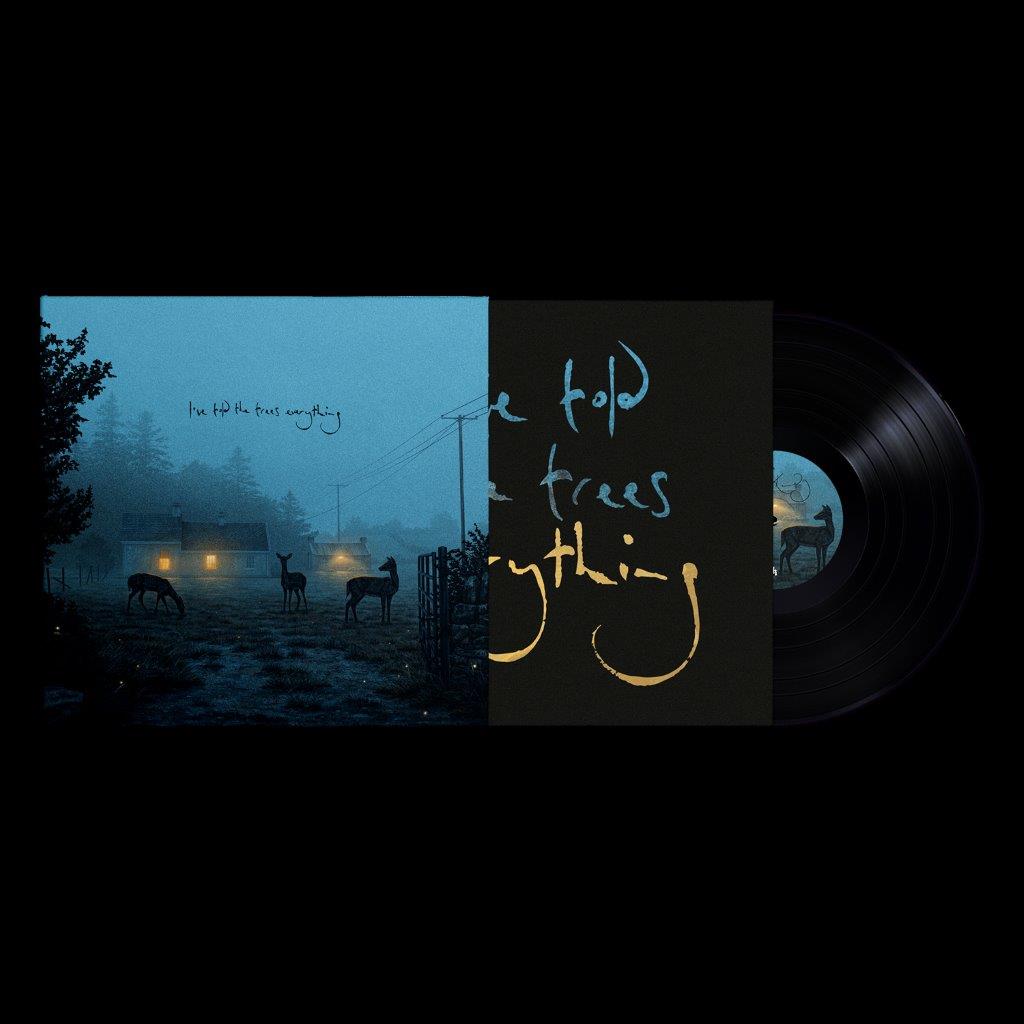 Dermot Kennedy vinyl record with a landscape album cover.