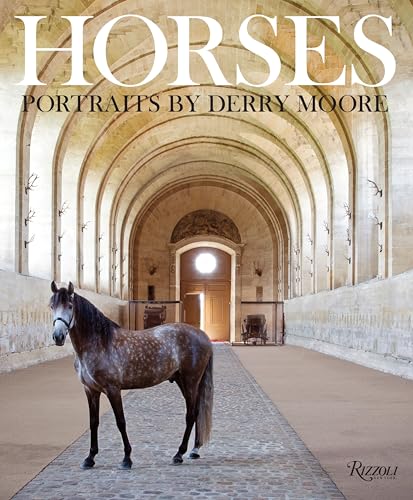 A dappled grey horse stands in a long, stone-vaulted indoor stable.