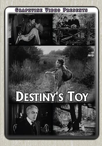 Destiny's Toy [DVD]