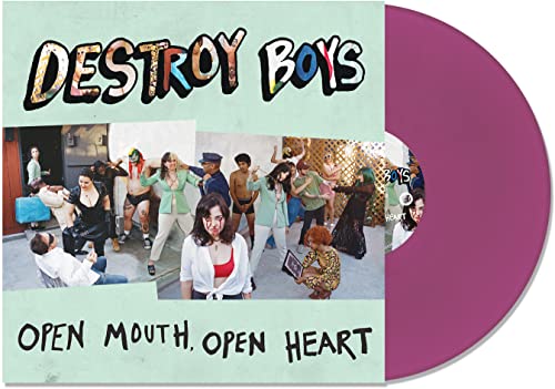 Destroy Boys vinyl record with band photo and purple disc center.
