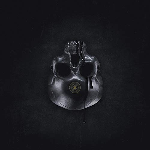 Dark, glossy skull with a golden circular emblem and dripping liquid.