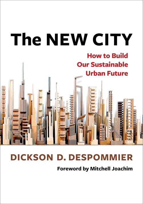 Book cover with a wooden cityscape and bold black title text.
