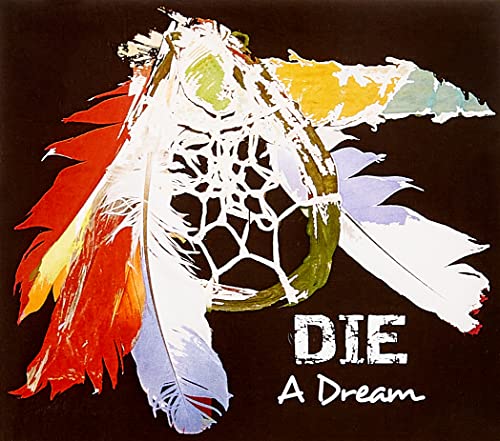 Dreamcatcher with colorful feathers against a black background, album cover.