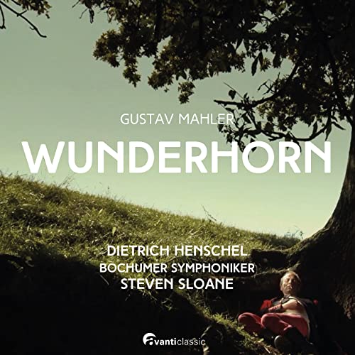 CD cover for “Wunderhorn” by Henschel and Sloa, featuring a tree and field.