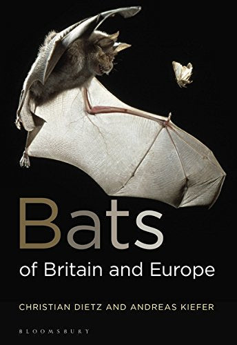 Book cover featuring a bat in flight with outstretched wings.