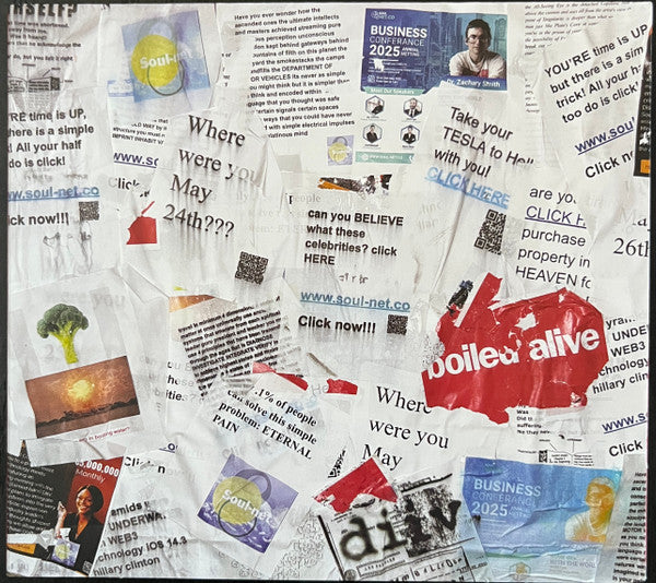 CD cover for Diiv's "Boiled Alive" with collage of text and images.