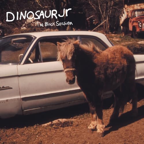 Dinosaur Jr. album cover: pony beside a damaged car, grainy texture.