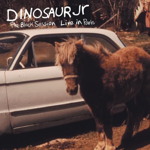 A brown pony stands in front of a white car with Dinosaur Jr text above.