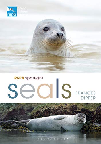 Book cover featuring a seal in the water and another resting on rocks.