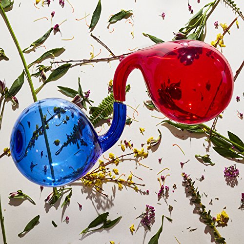 Red and blue glass spheres connected by a stem, surrounded by scattered flowers.