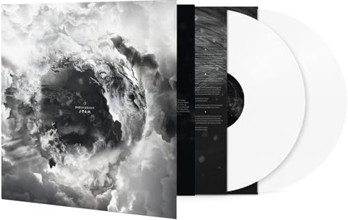 Vinyl record with cloudy, grayscale album cover and black inner sleeve.