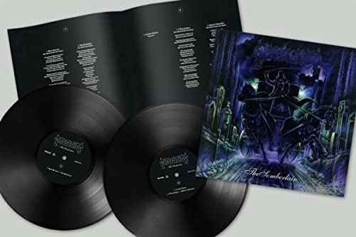 Two black vinyl records, a booklet, and album cover with dark fantasy art.