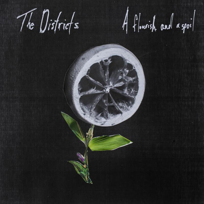 Vinyl record cover with a half-citrus fruit and green leaves on black.