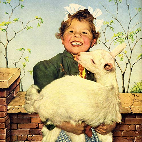A smiling girl with a white hair bow holds a small white goat outdoors.
