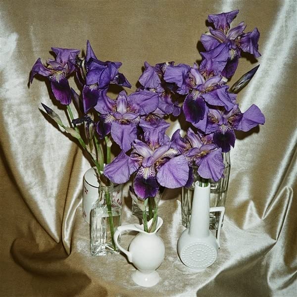 Purple irises in glass vases on a draped, textured surface.