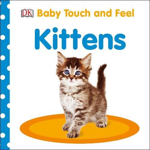 "Children's book cover featuring two kittens, one gray and one orange, on a white background."