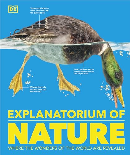 Book cover featuring a mallard duck partially submerged in water.