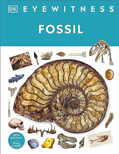 Book cover featuring a large ammonite fossil and various prehistoric specimens.