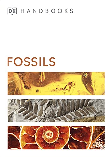 Book cover featuring fossils in amber, rock, and ammonite shells.