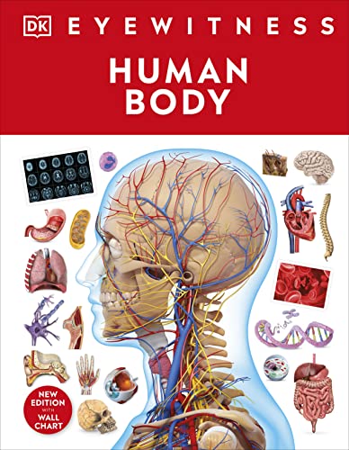 Human Body" book cover with anatomical illustrations of head and organs.