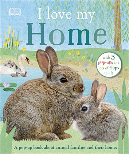 Book cover featuring rabbits and other animals with pop-up elements.