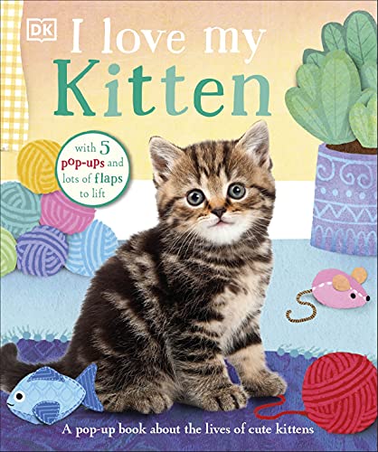 Book cover featuring a tabby kitten with interactive pop-up elements.