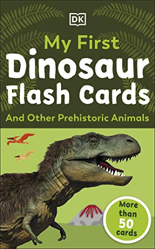 Flash cards featuring a Tyrannosaurus Rex and other prehistoric animals.