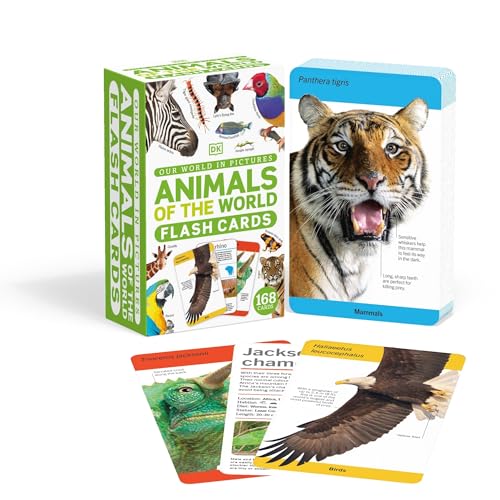 Animal flashcards featuring a tiger, eagle, chameleon, and zebra.