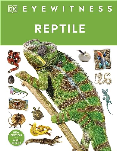 Book cover titled Reptile featuring a large green chameleon on a branch with reptiles.