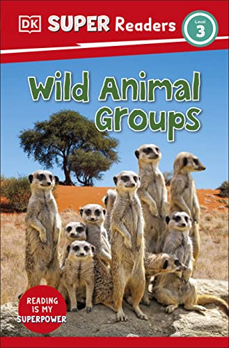 Book cover featuring meerkats standing in a savanna landscape.