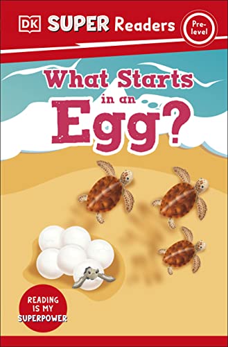 Book cover: baby turtles hatching from eggs on a beach.