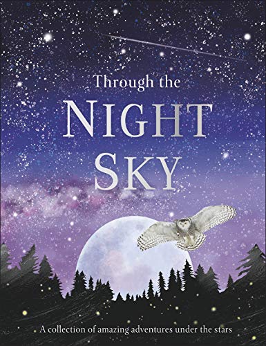 Book cover: owl flying in front of a starry night sky and moon.