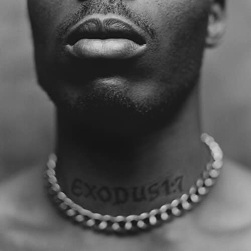 Black and white close-up of DMX with Exodus 1:7 tattooed on his neck.