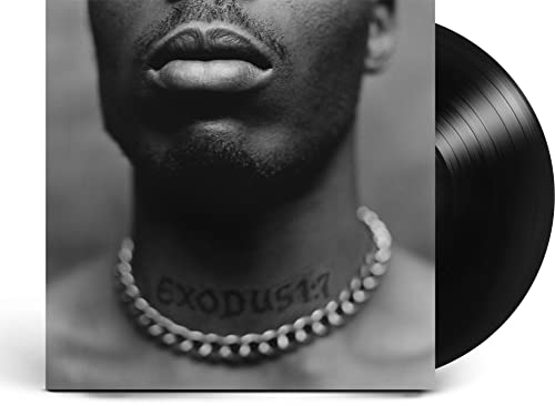 DMX's "Exodus" vinyl record with a close-up portrait of the artist.