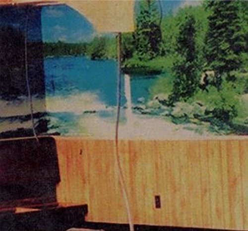 CD cover with a fragmented landscape image of trees and water.