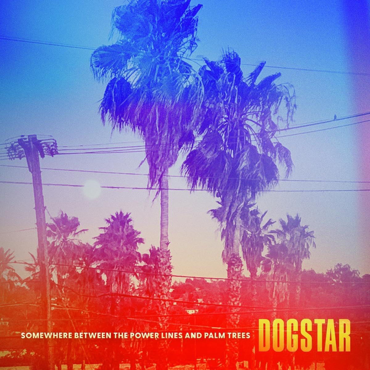 CD cover: Palm trees and power lines under a colorful, hazy sky.