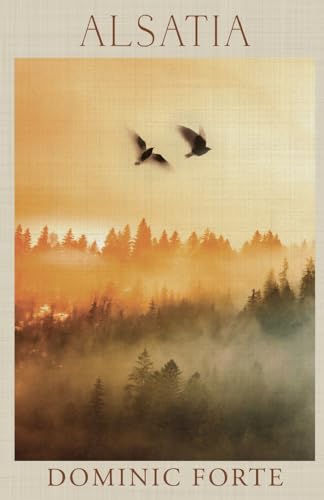 Book cover: misty forest landscape with two birds in flight.