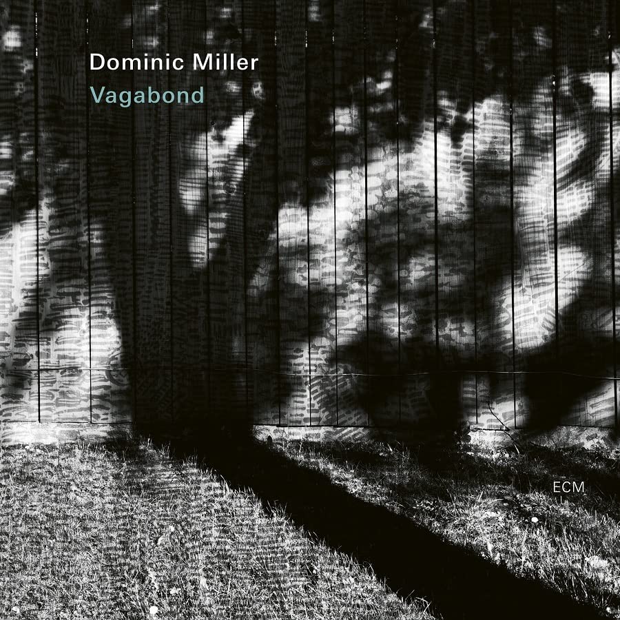 Black and white album cover featuring tree shadows cast onto a vertical fence.