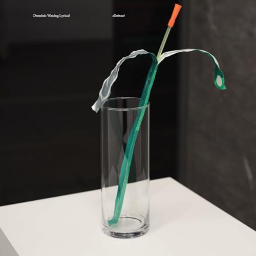 Black background with a glass holding a drooping, teal plant stem.