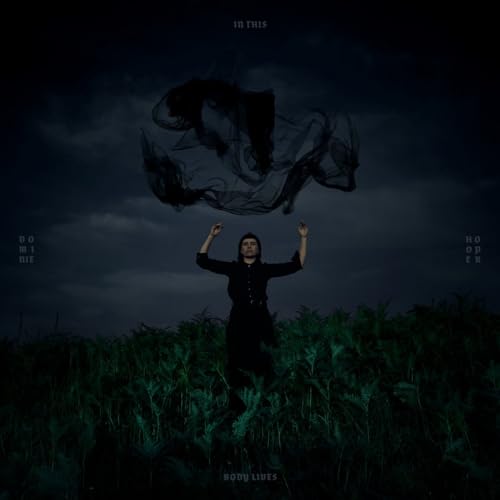 Dark album cover featuring a person in a field with flowing fabric.