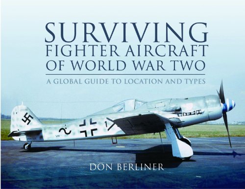 Book cover featuring a grey German Focke-Wulf Fw 190 fighter aircraft.